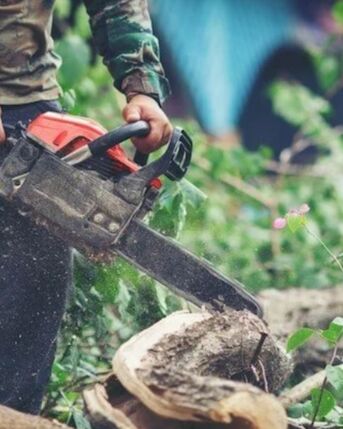 New York, Business, Building Better Lawns From The Ground Up