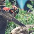 Building Better Lawns From The Ground Up