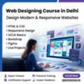 Web Designing Course In Delhi With Practical Training & Certification