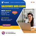 Salesforce Data Cloud Online Training &ndash; New Batch Starts Soon
