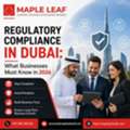 Need Trusted Tax And Accounting Services In UAE Today?