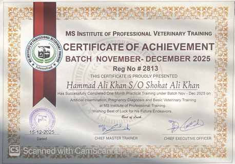 Riyadh, Job Seekers, Veterinary Doctor /veterinary Assistant