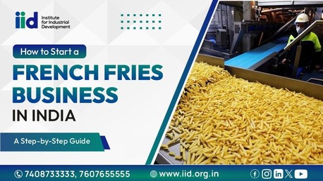 Lucknow, Business, How To Start A French-Fries Making Business In India 2026
