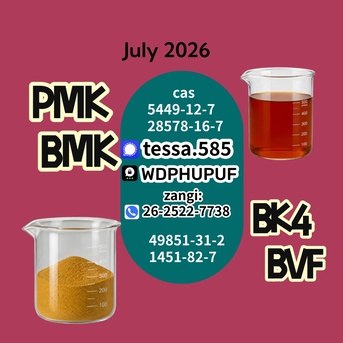 Hong Kong, Materials, CNY 50,  CAS 5449-12-7 BMK Glycidic Acid Sodium Salt Powder Reliable Logistics Partner 99% High Pur