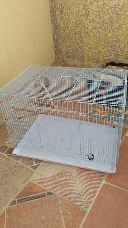 Riyadh, Pet Supplies, SAR 40,  Cage For Birds