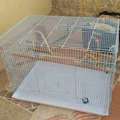 SAR 40,  Cage For Birds