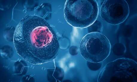 New Delhi, Health, Best Stem Cell Treatment In India