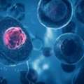 Best Stem Cell Treatment In India