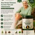 Jointoritis Oil | Best Ayurvedic Oil For Joint Pain And Arthritis Relief 60 Ml