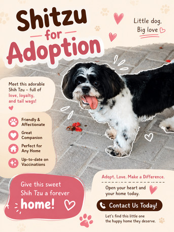 Manama, Pet Supplies, Shihtzu Puppy For Adoption