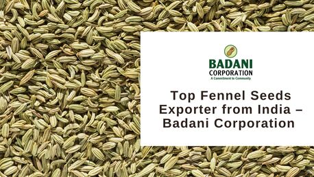 Ahmedabad, Food, Badani Corporation &ndash; Leading Agricultural Products, Spices & Fennel Seeds Exporter From In