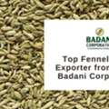 Badani Corporation &ndash; Leading Agricultural Products, Spices & Fennel Seeds Exporter From In