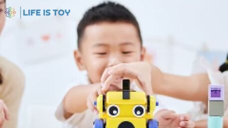 New York, Business, Stem Learning Toys For Interactive Learning At Home