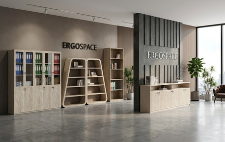 New Delhi, Furniture, Aed 3750,  Office Storage Solutions For Sale In Dubai, UAE | Ergospace