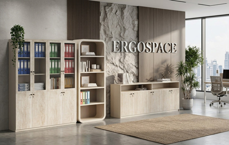 New Delhi, Furniture, Aed 3750,  Office Storage Solutions For Sale In Dubai, UAE | Ergospace