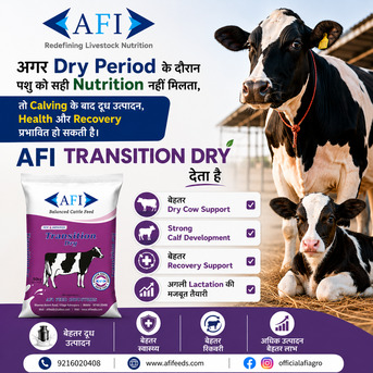 Mumbai, Pet Supplies, Top Feed Brand In Khanna