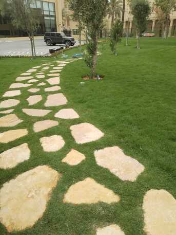 Ad Diriyah, Farm/Garden, 🌿 Premium Gardening Maintenance & Landscaping Services In Riyadh |تصميم وتنسيق الحدائق |