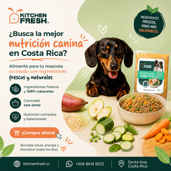 San José, Pet Supplies, CRC 3717,  Alimento Hecho Con Ingredientes Naturales Para Perros