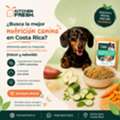 CRC 3717,  Alimento Hecho Con Ingredientes Naturales Para Perros