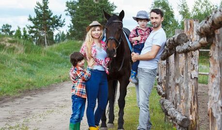New York, Travel, Best Horse Rides In Pigeon Forge TN For All Ages