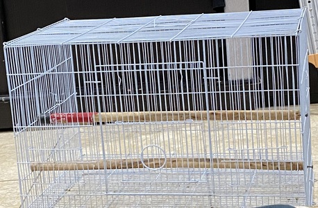 Al Iskan, Pet Supplies, SAR 200,  Birds With Cage And Food