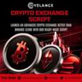 Better Than Binance Clone - Our Advanced Crypto Exchange Script