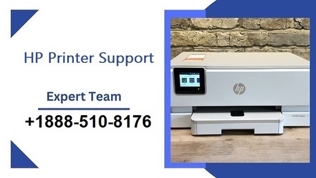 New York, Computer, How To Fix HP Printer Offline Issues?