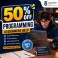 Expert Programming Solutions For Students