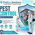 🩵3🩵COCKROACH AND BED BUGS BEST PEST CONTROL🩵🩵SOLUTION WITH BEST PRICE=(0594815241)