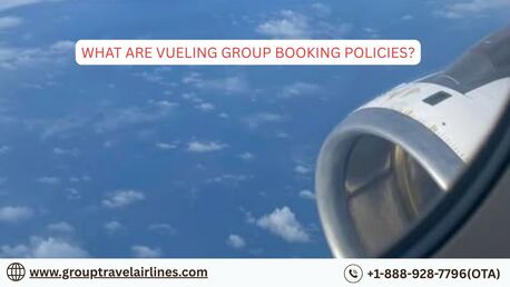 New York, Travel, What Are Vueling Group Booking Policies?