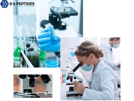 New York, Business, Grey Wonder Land Best Place To Buy Peptides Online
