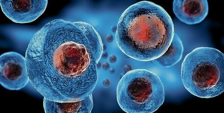 New Delhi, Health, Advanced Stem Cell Therapy In India | Global Stem Cell Care