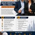 Sales Executive