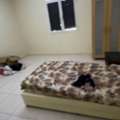 Rent A Room Bawadi Jeddah