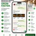What Is WhatsApp Business API And Why Does It Matter?