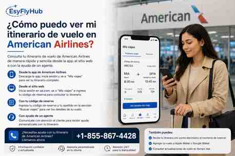 New York, Travel, ¿Cómo Puedo Ver Mi Itinerario De Vuelo En American Airlines?
