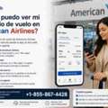 ¿Cómo Puedo Ver Mi Itinerario De Vuelo En American Airlines?