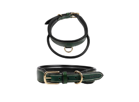 Mumbai, Pet Sitting, Premium Leather Dog Collars For Sale