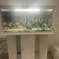 SAR 1500,  Aquarium To Sell