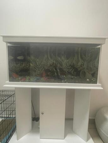 Al Sulaymaniyyah, Pet Supplies, SAR 1500,  Aquarium To Sell