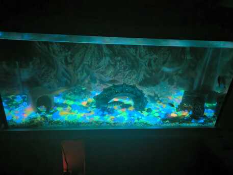 Al Sulaymaniyyah, Pet Supplies, SAR 1500,  Aquarium To Sell