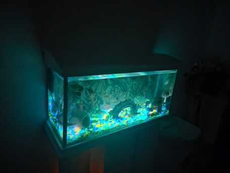 Al Sulaymaniyyah, Pet Supplies, SAR 1500,  Aquarium To Sell