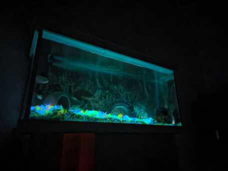 Al Sulaymaniyyah, Pet Supplies, SAR 1500,  Aquarium To Sell