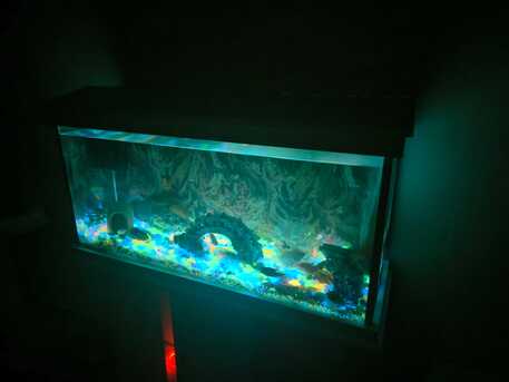 Al Sulaymaniyyah, Pet Supplies, SAR 1500,  Aquarium To Sell