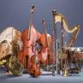 Best Musical Instruments Store In India
