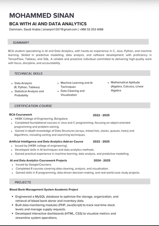 Dammam, Job Seekers, BCA Graduate Seeking IT, Data Analyst, Project Coordinator Or Sales Opportunities
