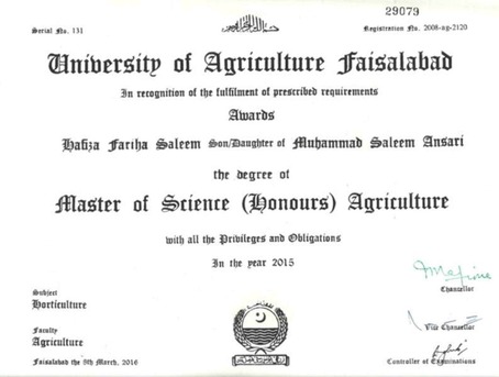 Al Bawadi, Education, Tuition Tutor