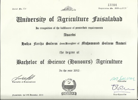 Al Bawadi, Education, Tuition Tutor