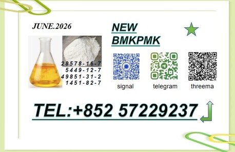 Berlin, Items Wanted, Original Manufacturer PM.K Oil CAS 28578-16-7 Using B.MK Powder 5449-12-7