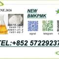 Original Manufacturer PM.K Oil CAS 28578-16-7 Using B.MK Powder 5449-12-7